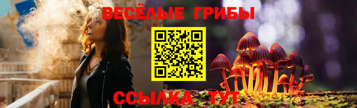 Королёв  Галлюциногенные грибы Psilocybe  купить наркоту  Псилоцибиновые грибы MAGIC MUSHROOMS  Вход с VPN 
